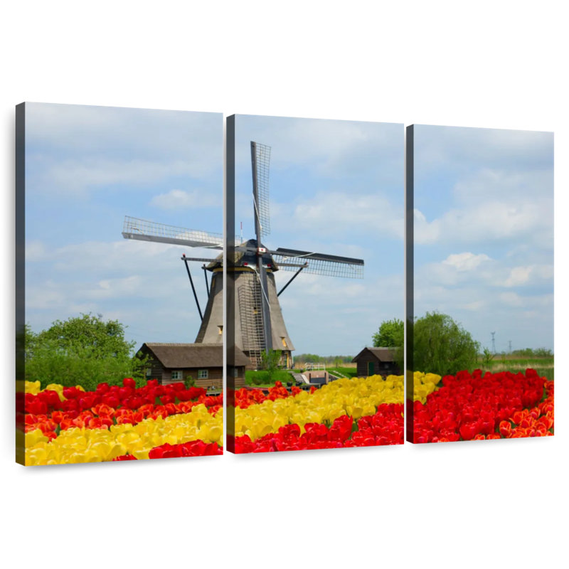 Tulipes Alvord, H 20 po x l 33 po