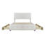 Rosendale Upholstered Velvet Drawers Bed-336643442