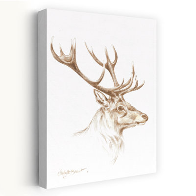 Majestic Stag Drawing Elegant Rustic Contemporary Deer Nature Portrait Wall Art Print 1 Piece Wrapped Canvas Wall Art