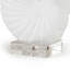 Nautilus Shell Small (White)-1567939957