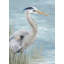 "Rosecliff Heights Watts", galerie d'art sur toile tendue par Eva, Great Blue Heron Gaze