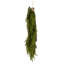  Couronne de pin verte 24 po.-479276923