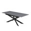 Aagot Rectangular Dining Table
