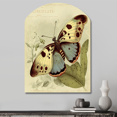 Dontrelle - animaux, art en forme d'arche papillon
