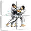 Sirci Judo Strike-109164345