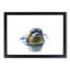 Grey Seal - Framed Print-55608898-55608903