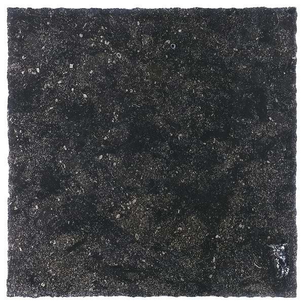 Catalina 18 in. x 18 in. Tile