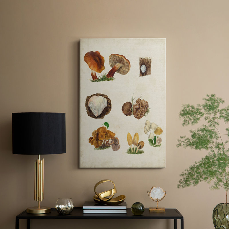 Espèces de champignons I - galerie sur mesure, H 48 po x l 32 po
