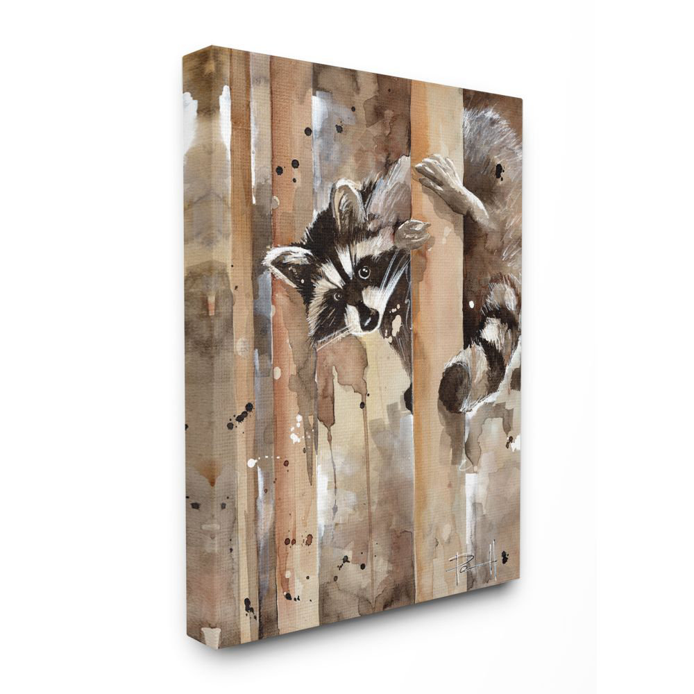 " Raccoon In The Forest Animal " Millwood Pines