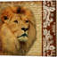 «Safari Script» par Patricia Pinto, art sur toile (ensemble de 2)