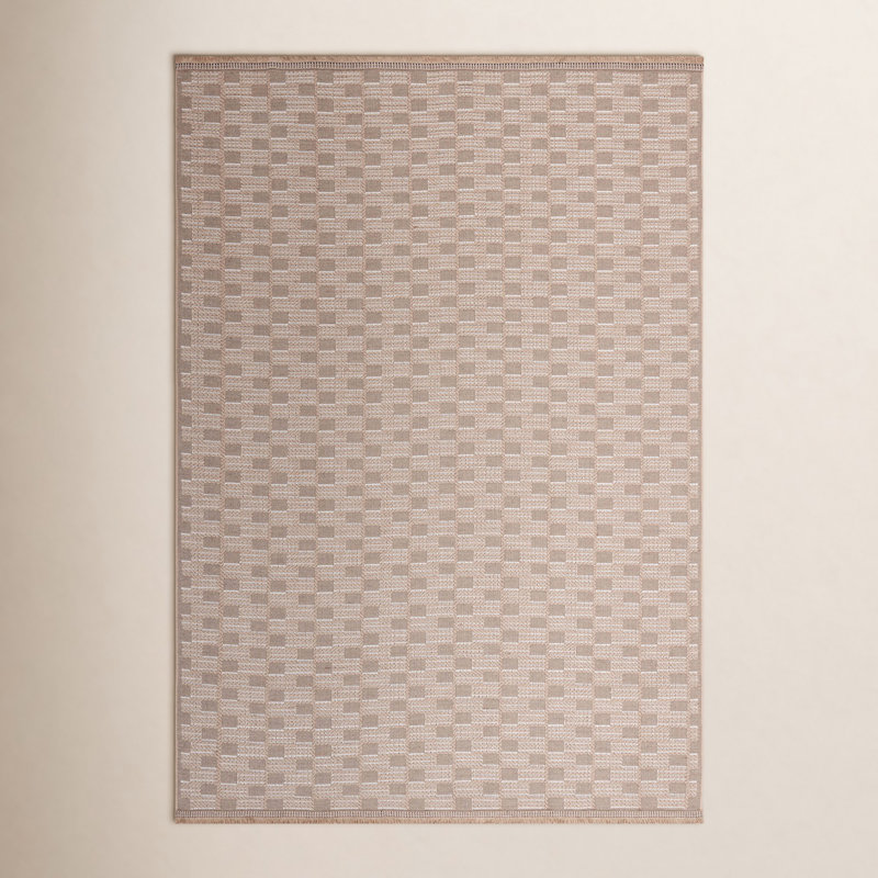 Eloi Checkered Indoor Rug, Rectangle 4' x 6'