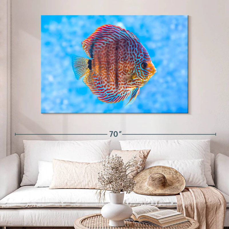Brampt Freshwater Discus Fish, 34" H x 51" W