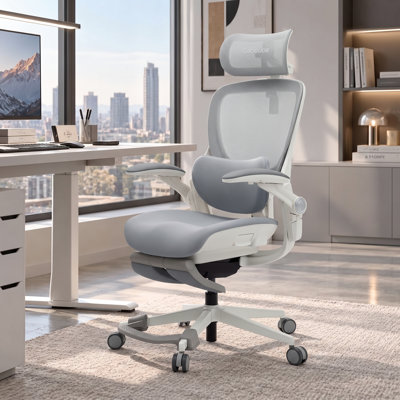 Chaise de bureau ergonomique Cablady S2 grise