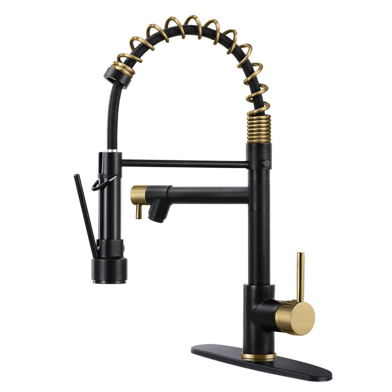 HGN 2 Spouts Kitchen Faucet  with Pull Out , Black/Gold