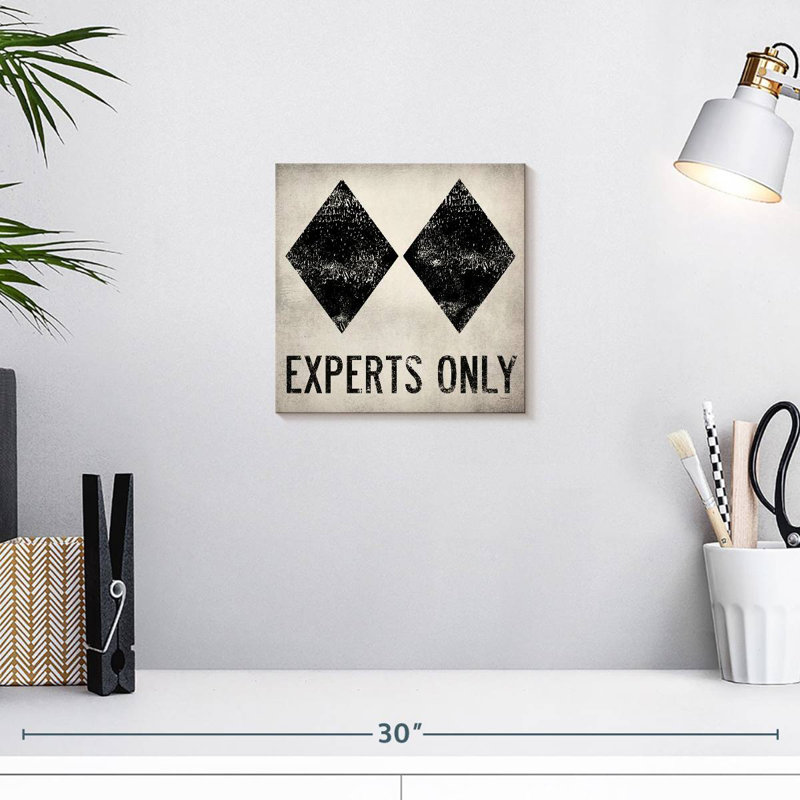 Sirci experts seulement blanc, H 10 po x l 10 po