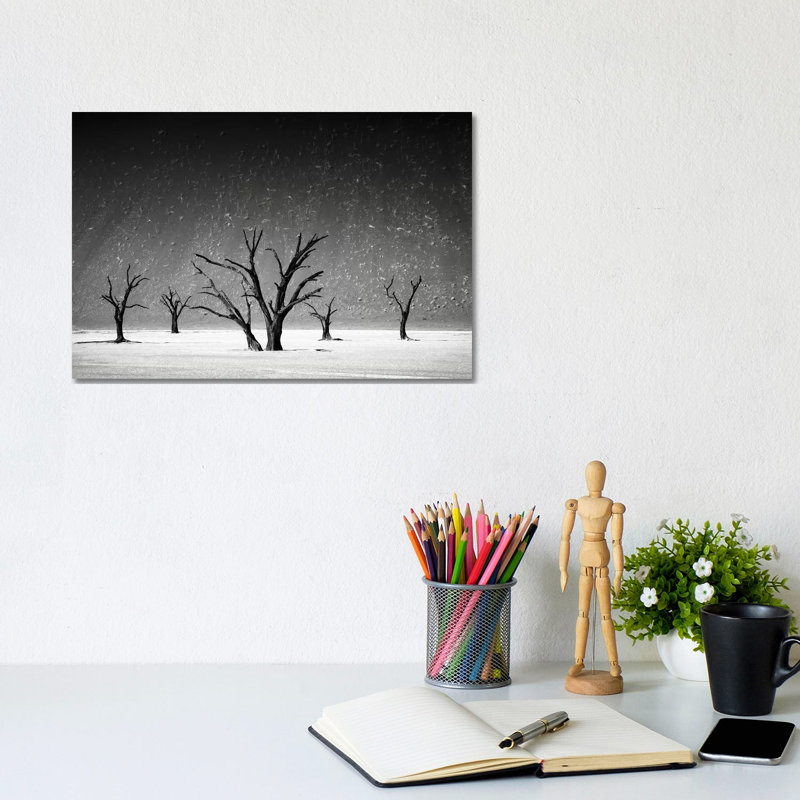 Staying Up - Wrapped Canvas Print, 20.32cm H x 30.48cm W x 1.905cm D