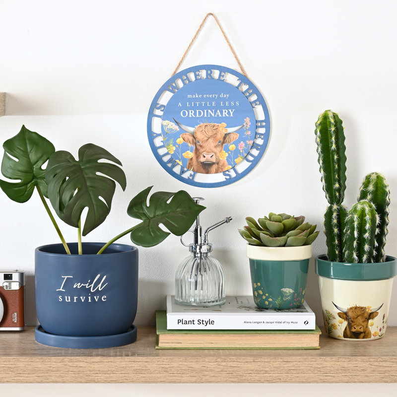 Ceramic Pot Planter