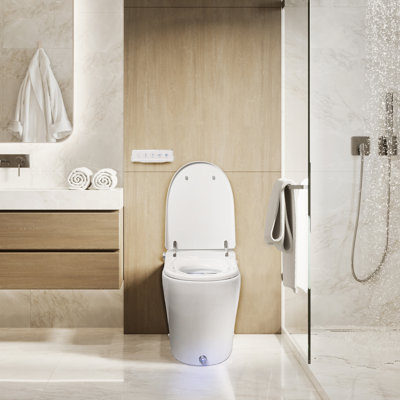 Combinaison de bidet bidet bidet bidet bidet bidet bidet bidet bidet bidet bidet bidet - Chauffer et ouvrir le bidet mains libres - eau chauffée instantanée, sécheuse et siège - cyclone-dri à séchage rapide, chasse automatique, veilleuse