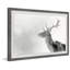 «The Forest and the Deer» - Reproduction encadrée sur papier-1977629131