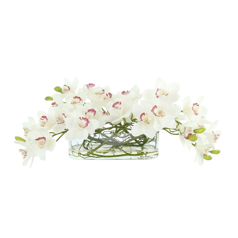 Orchids Arranged in Oval Glass Vase with Curly Willow