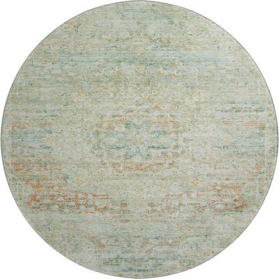 Premium Machine Washable Marasco AMF1636 Global Rug