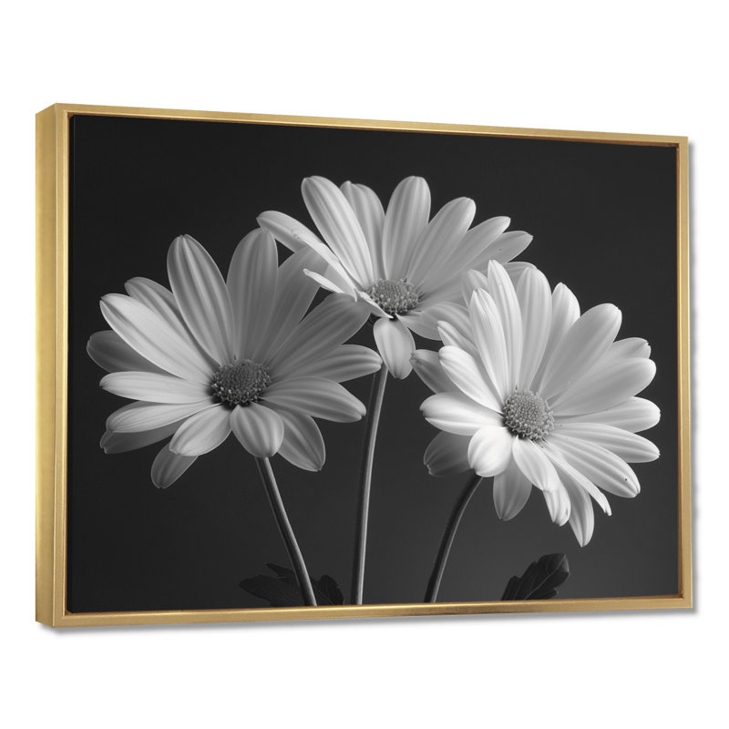 Monochrôme noir et blanc, bonheur, photo IV - marguerites, art mural, Cadre flottant doré, H 34 po x l 44 po