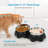 Anti-Skid Pet Bowl
