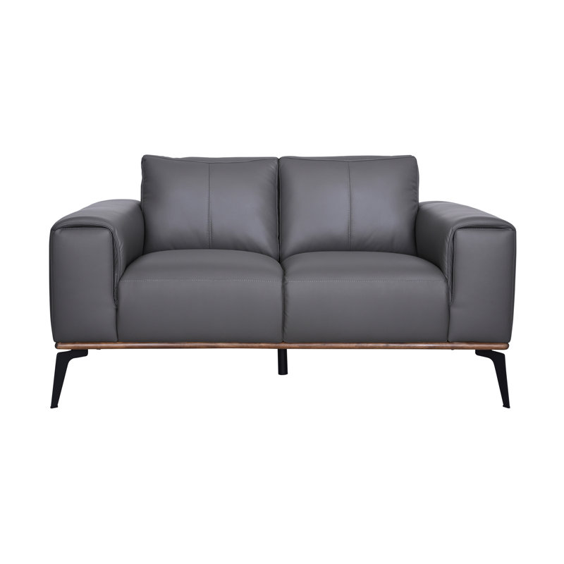 Salpeter Genuine Leather Square Arm Sofa, 33.3" H x 64" W x 38" D
