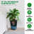 16" Tall Planters Set of 2 Black Rectangle High Front Porch Planter Pots with Drainage Holes-1600991299-1600991298