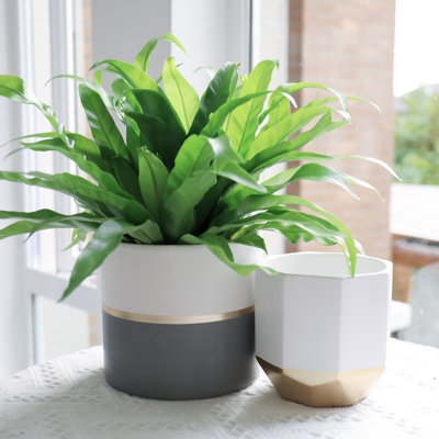Chanko Ceramic Pot Planter