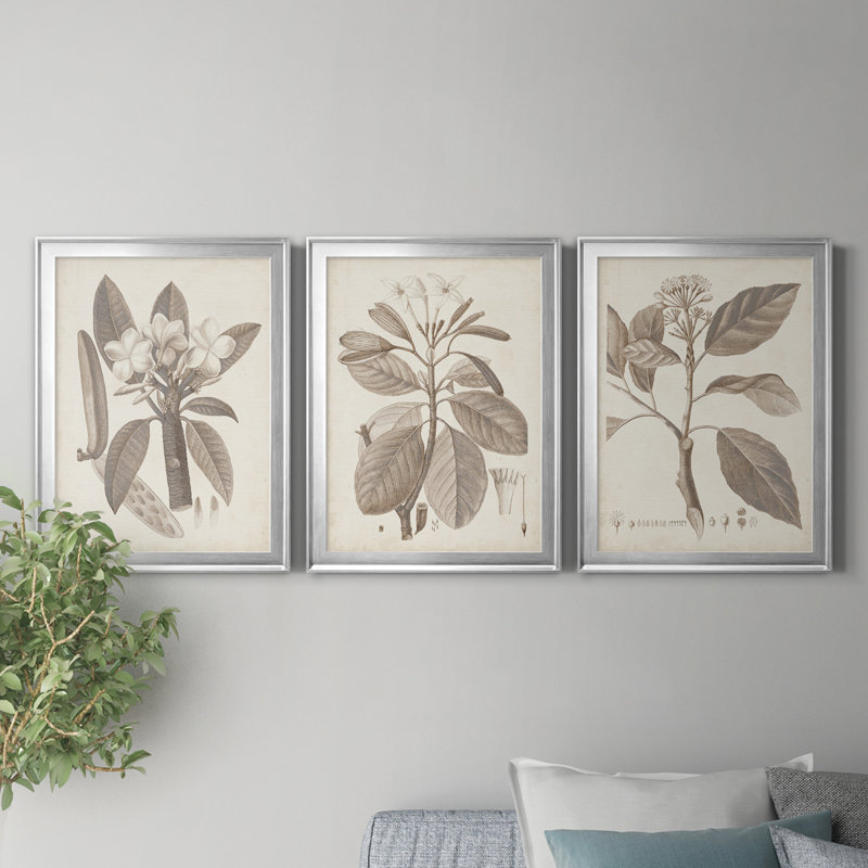 Antique sépia botanicals vii - ensemble de 3 peintures sur toile encadrées, H 18,5 po x l 73,5 po x P 1,5 po, Argent