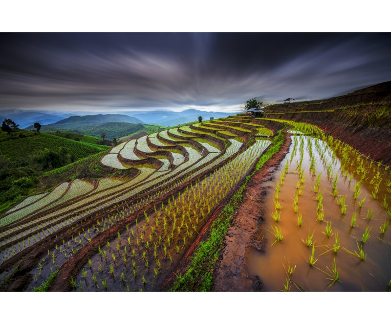 Wrapped Canvas Print, 76.2 cm H x 50.8 cm W