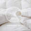 Insert de couette toutes saisons en duvet d'oie blanc avec housse de couette 100% coton 300TC, très grand californien-2050847863-2050847817