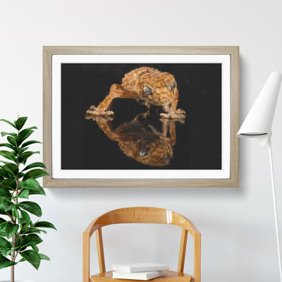 Rough Knob Gecko Lizard - Picture Frame Graphic Art