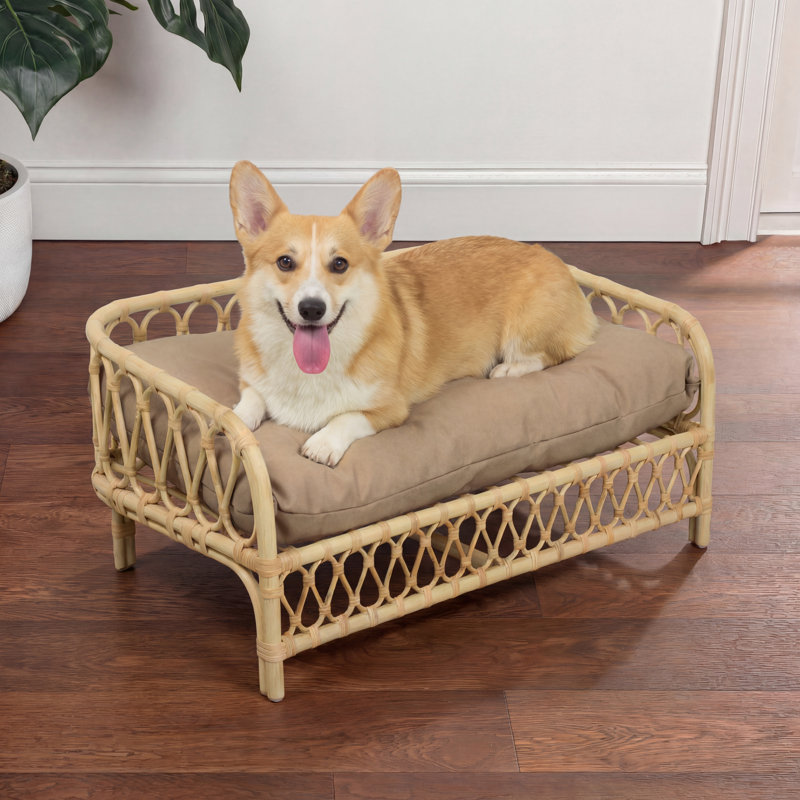 Lit de jour surélevé pour chien en rotin tissé à la main avec coussin lavable à la machine, Marron clair