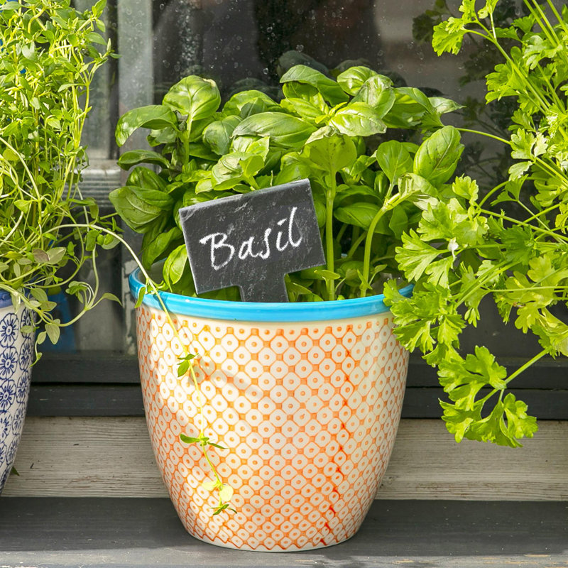 Nicola Spring - Hand-Printed Plant Pot - 14cm - Orange