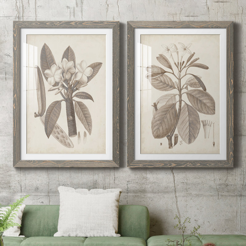 Antique sépia botanicals vii - ensemble de 2 reproductions d'art sur papier encadré, H 43,5 po x l 31,5 po x P 1 po