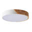 Luling Simply Design Energy-Saving Circle LED Dimmable Flush Mount Ceiling Light Fixture-331281349-331281353
