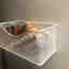 Customer photo 3 of 3
