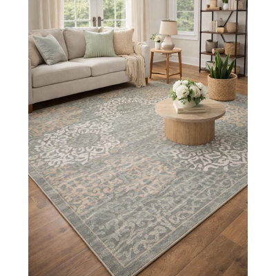 Ackermanville Modern Traditional Distressed Gray Area Rug