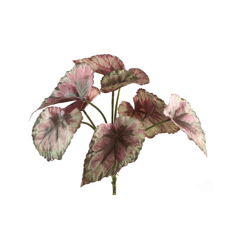 Leaves 33cm Plant