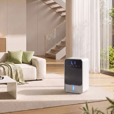 Dehumidifier