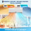 Mini climatiseur central à deux blocs 24 000 BTU à haut rendement - 19 SEER2, 230 V, activé par WiFi, système CA sans conduit pour la maison, norme américaine
