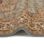 Oriental Area Rug-1637760321