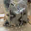 Customer photo 2 of 3