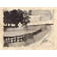 Rural Studies 3 Print by Ngo, PC