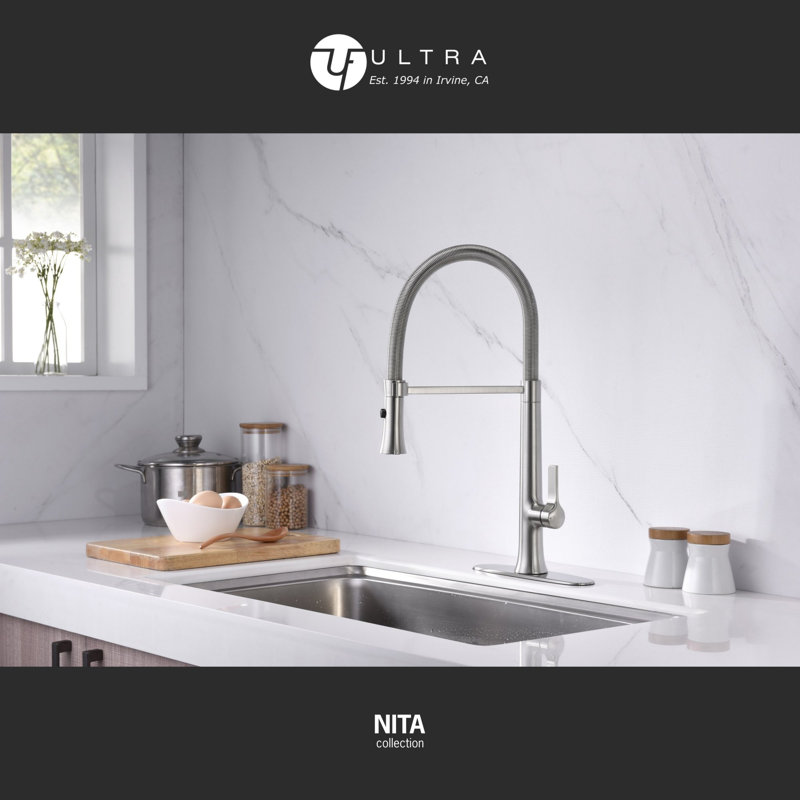 Nita Collection High-Arc Single Handle Kitchen/Bar Faucet with 2-Function Pull-Out Spring Spout Sprayer - Brushed Nickel