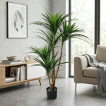 Pure Garden 51" Tropical Yucca Artificial Tree - Faux Plants Indoor and Outdoor Use with Natural Trunk and Planter