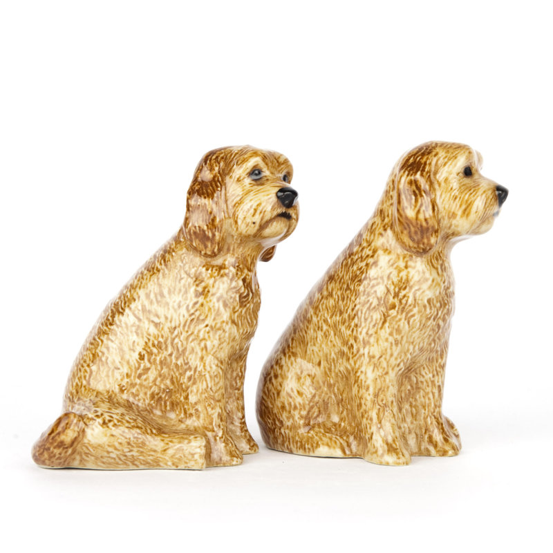 Salt And Pepper - Dog - Cockapoo