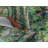 Farmhouse / Country Polyester Coverlet
